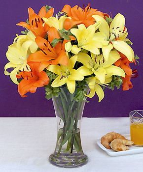 Vibrant Touch