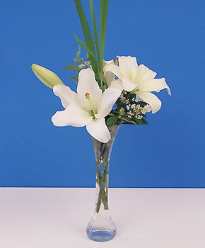 Simply White